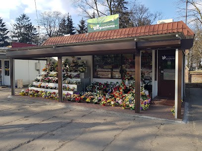 Kwiaciarnia Chryzantema, Kwiaciarnia w Koło