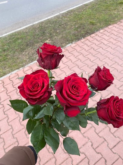 Kwiaciarnia Glorioza, Kwiaciarnia w Opoczno