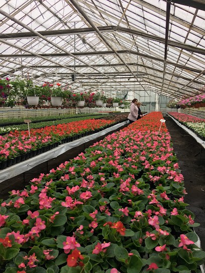 Krystyna. Kwiaciarnia. Rudnik K., Kwiaciarnia w Kadłub Turawski