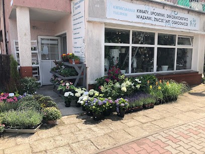Kwiaciarnia Tulipan, Kwiaciarnia w Polkowice