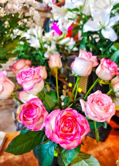 Kwiaciarnia Leśnia, Kwiaciarnia w Rumia