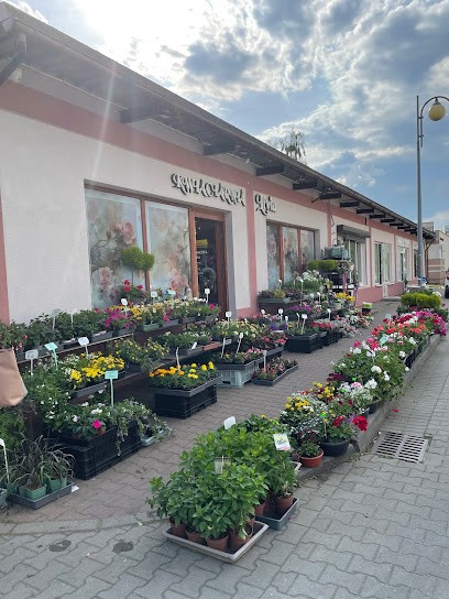 Kwiaciarnia Livia, Kwiaciarnia w Głogów