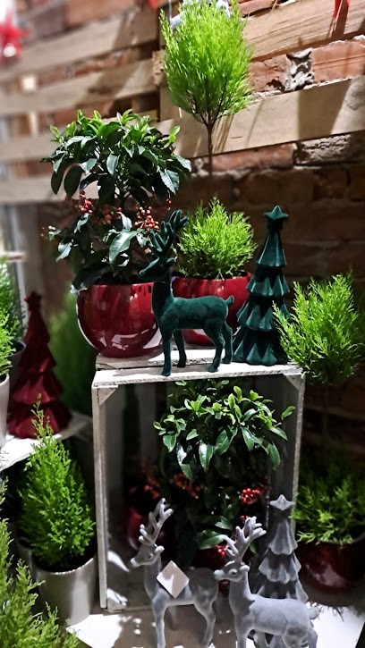 Kwiaciarnia Mordy Kwiatopasja, Kwiaciarnia w Mordy