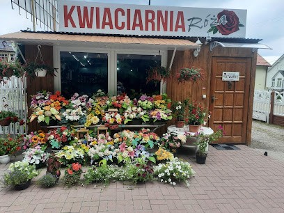 Kwiaciarnia Róża, Kwiaciarnia w Łoniów