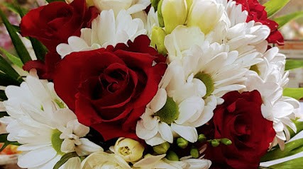 Florist Green Climates, Kwiaciarnia w Wrocław