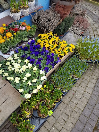 ARóża. Kwiaciarnia, Kwiaciarnia w Piastów