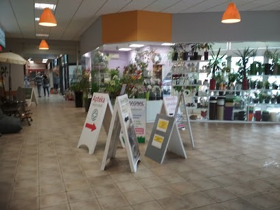 Kwiaciarnia Berberys, Kwiaciarnia w Bydgoszcz