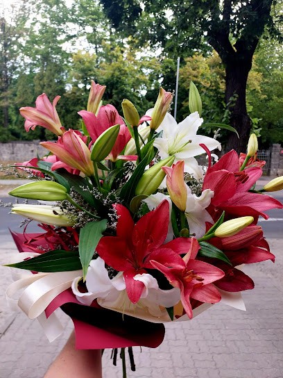 Kwiaciarnia KORNELIA, Kwiaciarnia w Świdnica