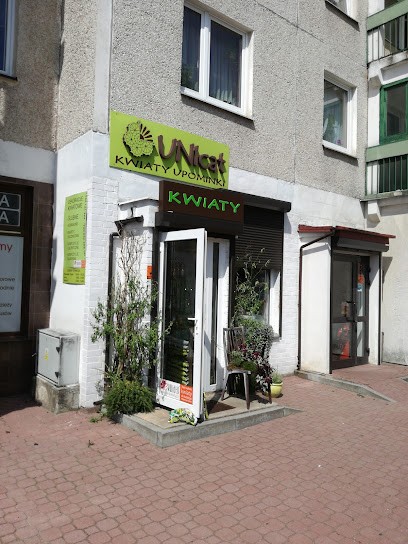 UNIcat Kwiaty Upominki, Kwiaciarnia w Kielce