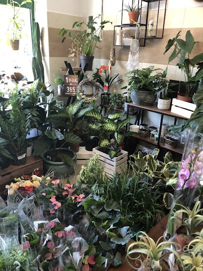 Kwiaciarnia AniKwiatki, Kwiaciarnia w Dąbrowa Tarnowska