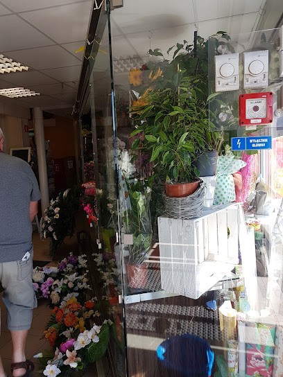 Kwiaciarnia Zielony Kącik (w Intermarche), Kwiaciarnia w Jelcz-Laskowice