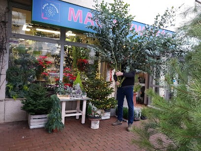Kwiaciarnia Magia Kwiatów MM, Kwiaciarnia w Warszawa