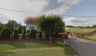 Azalia. Kwiaciarnia. Banach K., Kwiaciarnia w Galewice