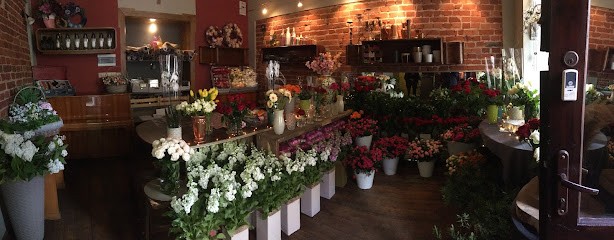 Salon kwiatowy “Stefania”, Kwiaciarnia w Łódź