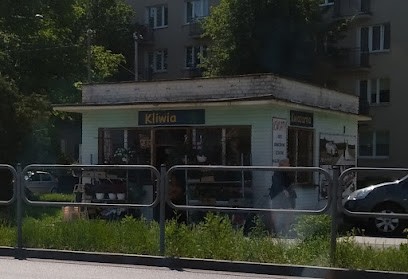 Kliwia. Kwiaciarnia. Wojtysek A., Kwiaciarnia w Częstochowa