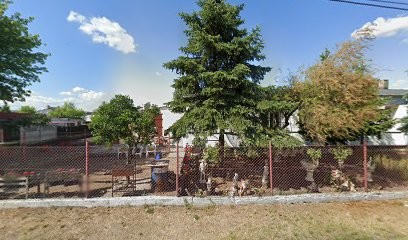 Fikus. Kwiaciarnia, Kwiaciarnia w Inowrocław