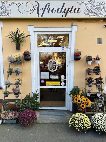 Kwiaciarnia Afrodyta, Kwiaciarnia w Wrocław