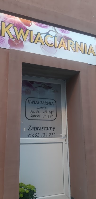 Kwiaciarnia Maćkowiak, Kwiaciarnia w Dobra