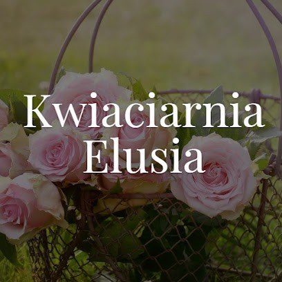 Kwiaciarnia Małecka Elżbieta, Kwiaciarnia w Warszawa