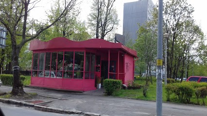 Aromi. Kwiaciarnia, Kwiaciarnia w Wrocław