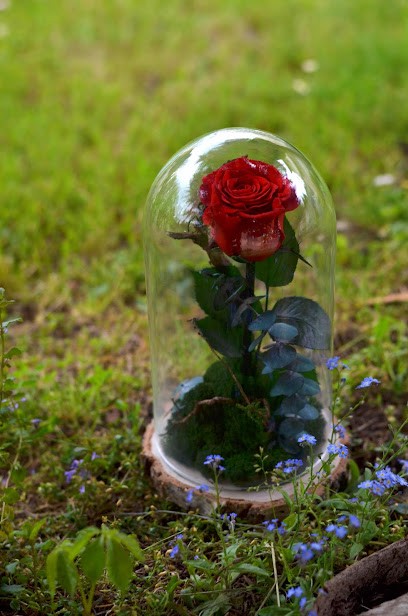 Wieczna I Bestia, Kwiaciarnia w Krzemienica