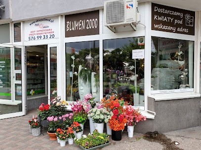 Kwiaciarnia WIKI, Kwiaciarnia w Bydgoszcz