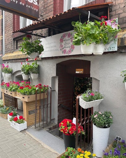 Stroiki Znicze Kwiaty, Kwiaciarnia w Chorzów