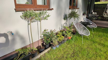 Radek. Kwiaciarnia, Kwiaciarnia w Zalipie