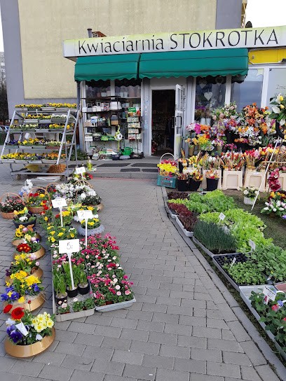 Kwiaciarnia Stokrotka Mariusz I Ewelina Kozak, Kwiaciarnia w Lubin