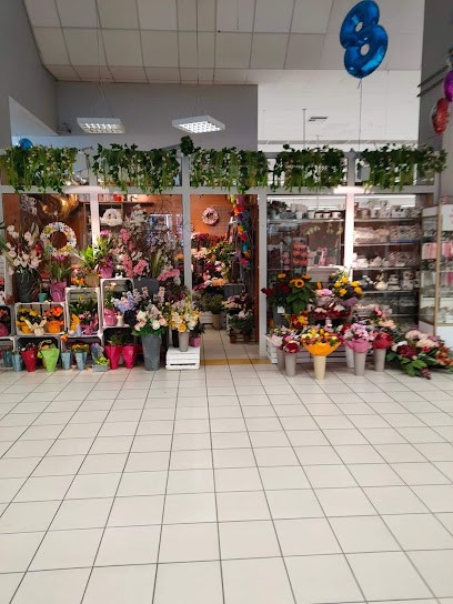 Kwiaciarnia Vienna G.R. Auchan, Kwiaciarnia w Krąków