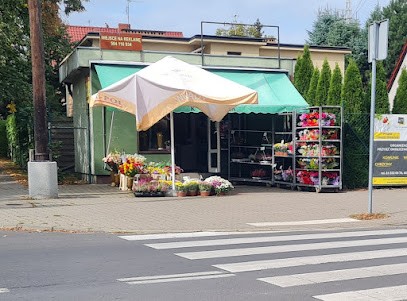 Kwiaciarnia, Kwiaciarnia w Poznań