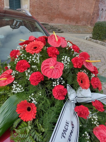 Storczyk. Kwiaciarnia. Kwiaty, dekoracje, Kwiaciarnia w Bydgoszcz