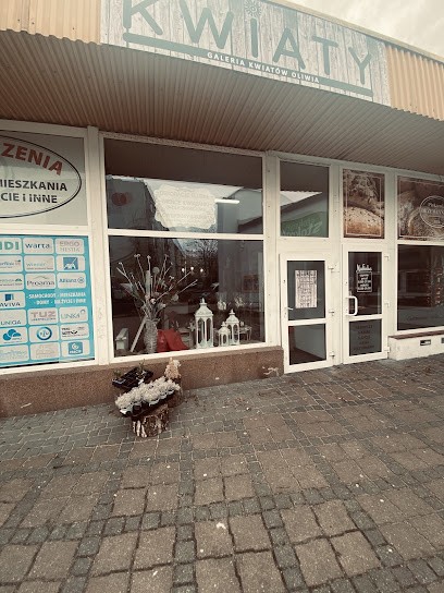 Galeria Kwiatów Oliwia, Kwiaciarnia w Koszalin