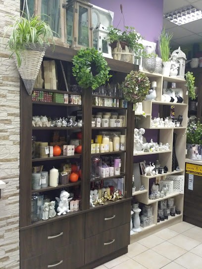 Kwiaciarnia Dandelion, Kwiaciarnia w Nowy Targ