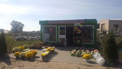 Amarylis, Kwiaciarnia w Poznań