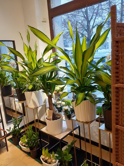 Kwiaciarnia Gołębiewska, Kwiaciarnia w Chełmno