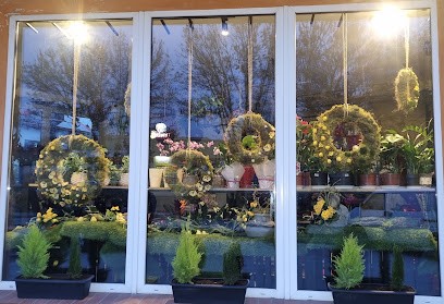 Kwiaciarnia Magnolia Monika Staniszewska, Kwiaciarnia w Sandomierz