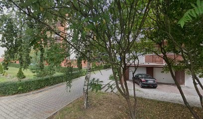 Motylek. Kasperska A., Kwiaciarnia w Leszno