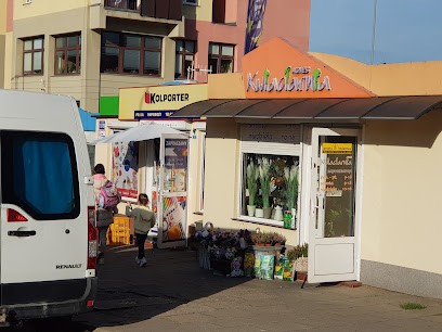 Kwiaciarnia AGNES, Kwiaciarnia w Szczecin