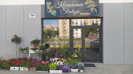 Kwiaciarnia Strelicja - Iwona Dąbrowa, Kwiaciarnia w Oława