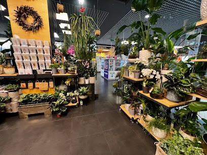 Akant - Renata Kulcenty, Kwiaciarnia w Skórzewo