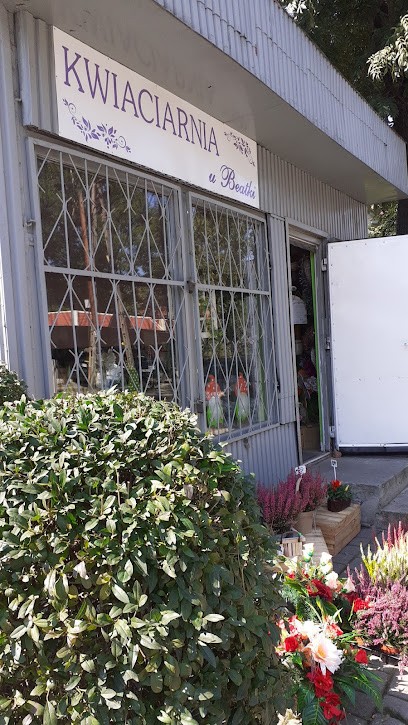 Kwiaciarnia Beatki, Kwiaciarnia w Katowice
