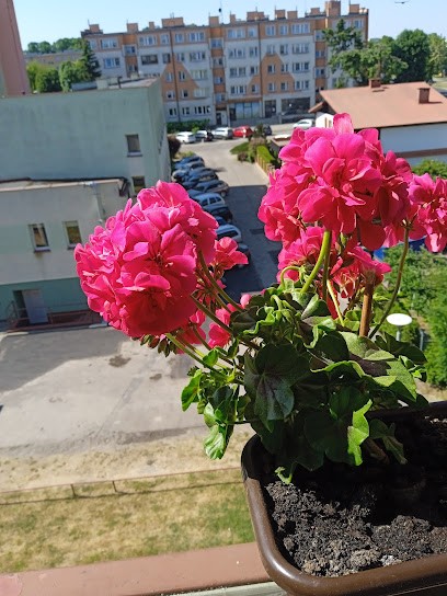 Kwiaciarnia Książęca, Kwiaciarnia w Człuchów