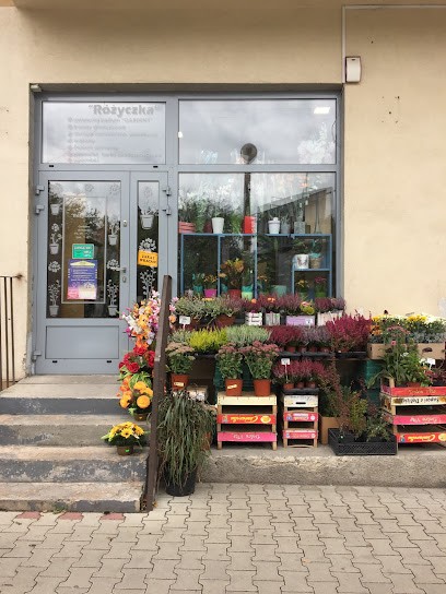 Kwiaciarnia Badyle I Chwasty, Kwiaciarnia w Krąków