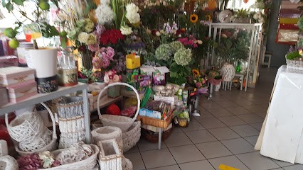 Ismena, Kwiaciarnia w Kołobrzeg