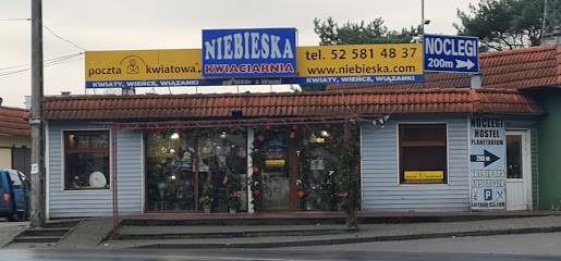 Kwiaciarnia Niebieska, Kwiaciarnia w Białe Błota