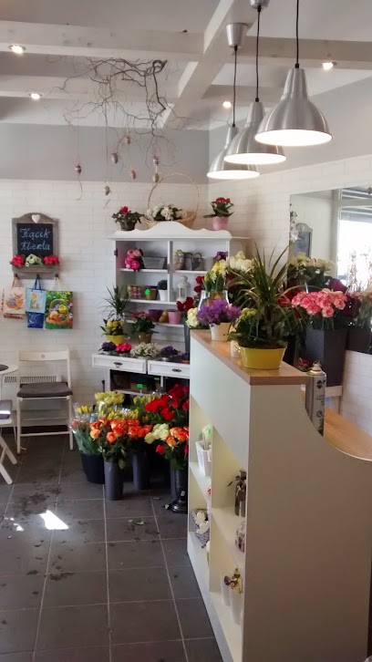 Kwiaciarnia Dorota, Kwiaciarnia w Poznań