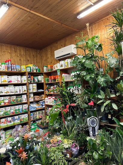 Dom -Ogród. Centrum handlowo - usługowe. Nowakowska A., Kwiaciarnia w Złotów