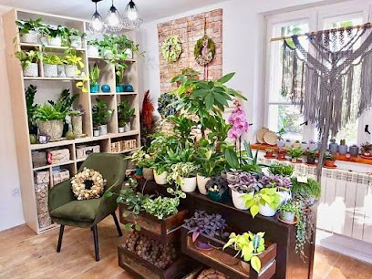 Kwiaciarnia Zielone Badyle, Kwiaciarnia w Krąków