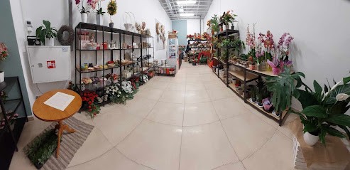 Filika Floro Kwiaciarnia Kreatywna, Kwiaciarnia w Strzyżów